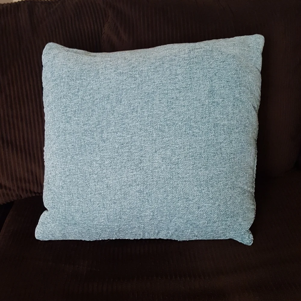 Teal Accent Pillow